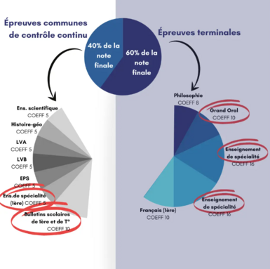 Capture d'écran 2026-02-22 222021.png